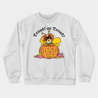 Halloween Dog Honey Bee Pumpkin Crewneck Sweatshirt